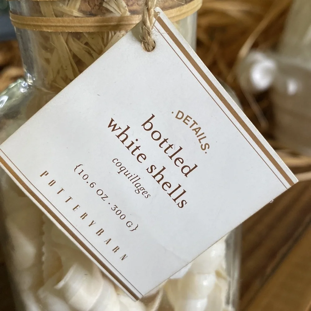 Pottery Barn Sally’s Seashore Seashells “Shells In A Bottle” Vase Filler 🐚 - Picture 2 of 16
